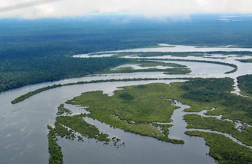 Amazon Rainforest, Northern Brazil (e.g., Amazonas), Brazil